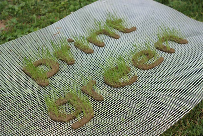Печатай травой! - органический принтер от  PrintGREEN.