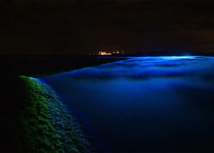 Источник синего света находится непосредственно на дамбе, ограждающей Голландию от моря.