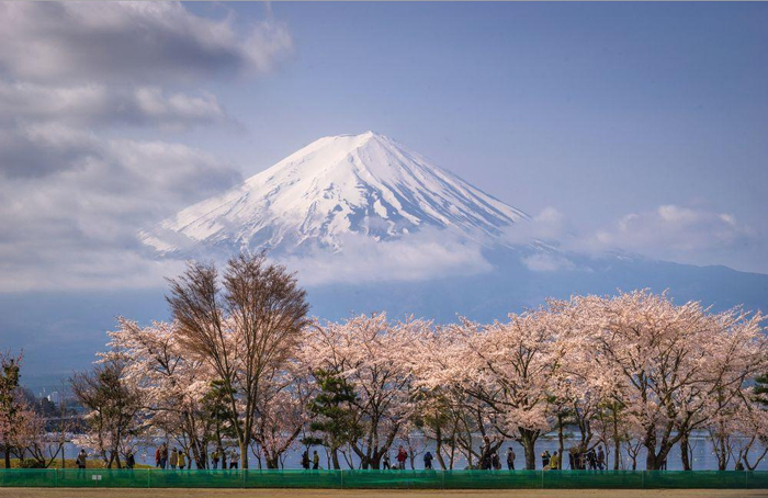 Вид на гору Фудзияма. Фото: Danilo Dungo.