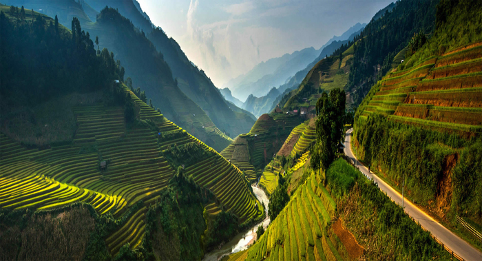 Потрясающе красивый пейзаж рисовых полей Вьетнама.