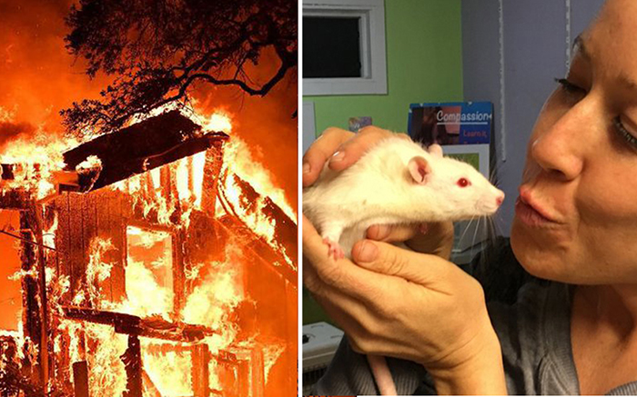 Девушки ринулись спасать лабораторных крыс.