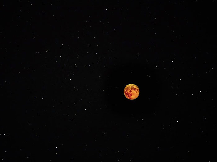 Затмение во время максимального приближения Луны к Земле случилось 21 января 2019 года. Фото: Mary Anne Chilton.