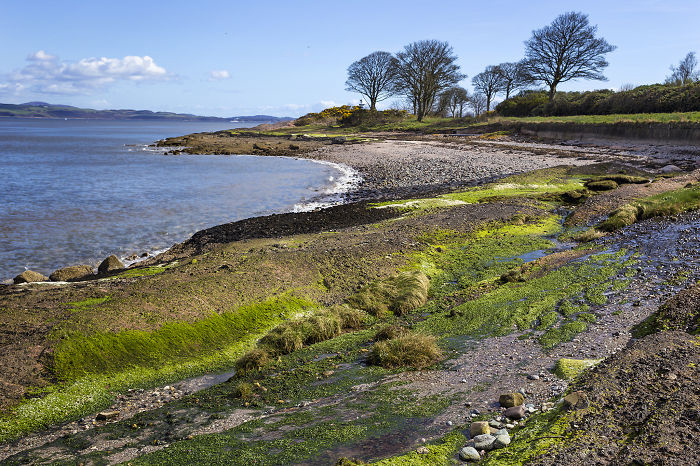 Северное море омывает берега Шотландии.