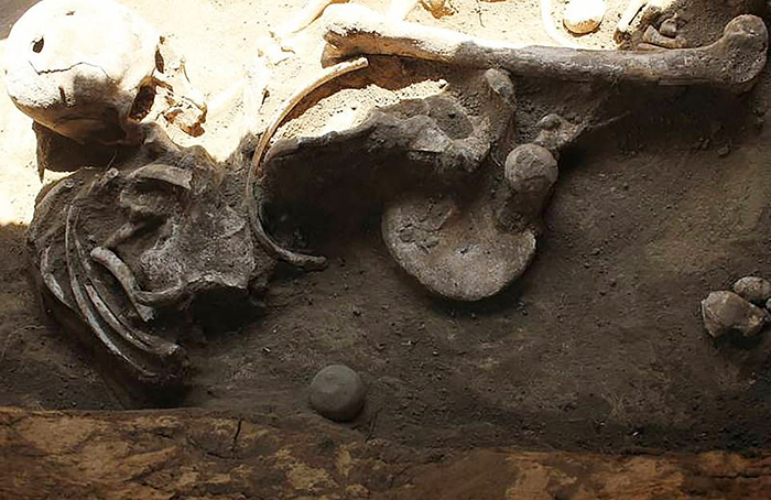 Два круглых отверстия в черепе - необычная характеристика для археологических находок.