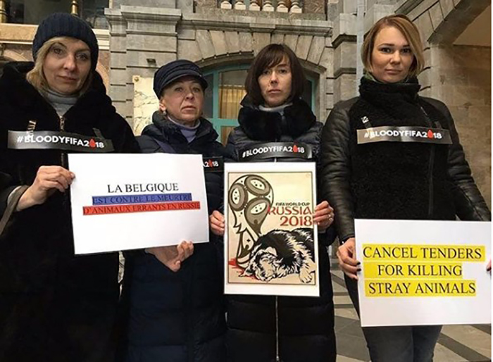 В Бельгии активисты вышли на улицу поддержать акцию протеста против убийства бездомных животных в России.  #stop_bloodyfifa2018.