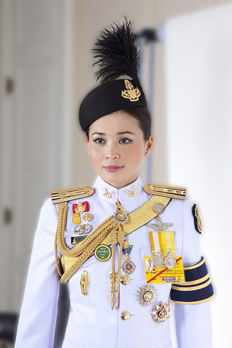 Король Таиланда является профессиональным военным летчиком.