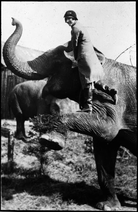 Девушка позирует на ноге слона.