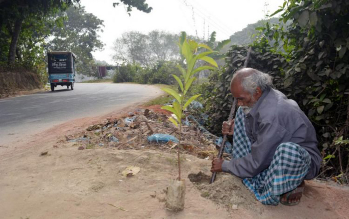 Абдул Самад Шейкх, 60-летний старик из Бангладеша, сажающий деревья с 12-летнего возраста.