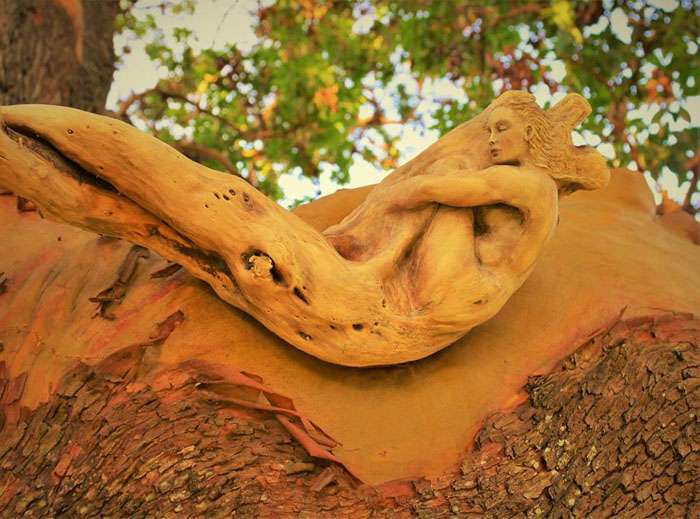 Скульптура из дерева. Автор: Debra Bernier.