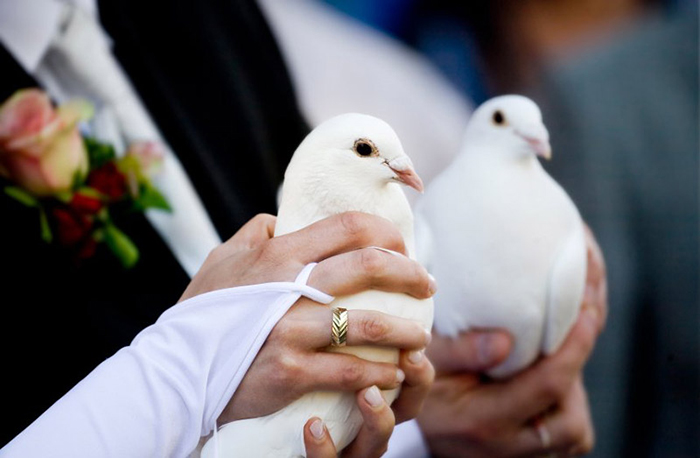 Белые голуби «на счастье».