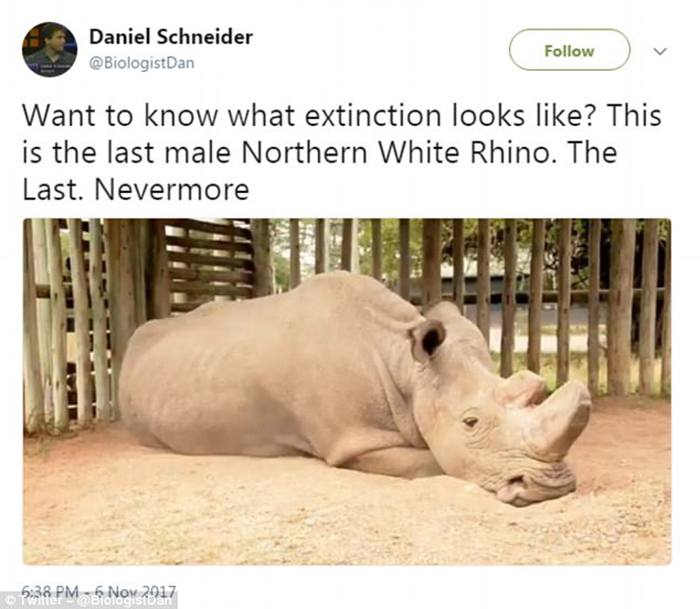 Пост в Твиттере биолога Даниэля Шнайдера, который помог снова обратить внимание на проблему.