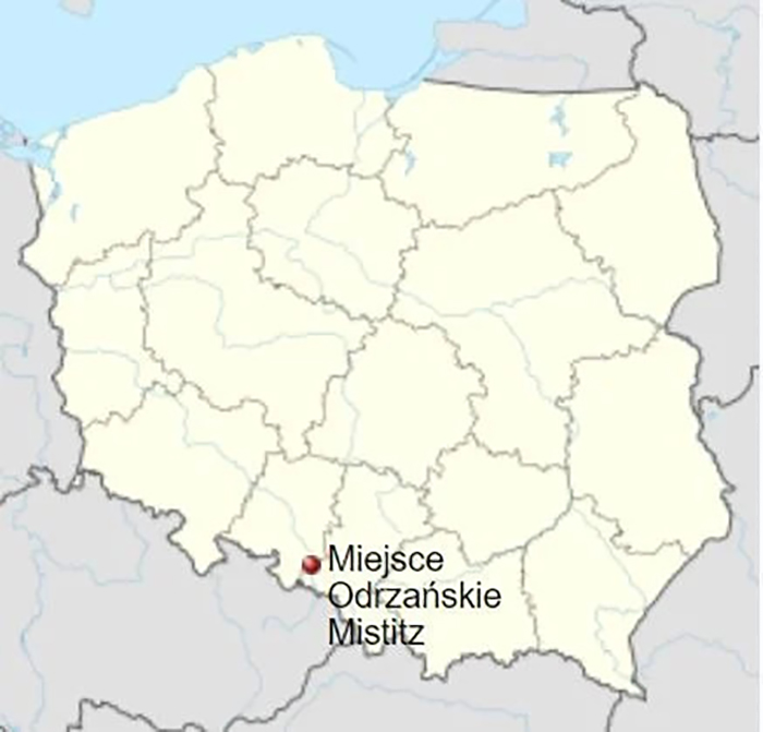 Мейсце Оджанське (Miejsce Odrza&#324;skie) на карте.