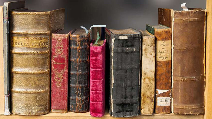 Среди похищенных книг были такие редкости, как первые издания трудов Галилея, Ньютона и Данте.