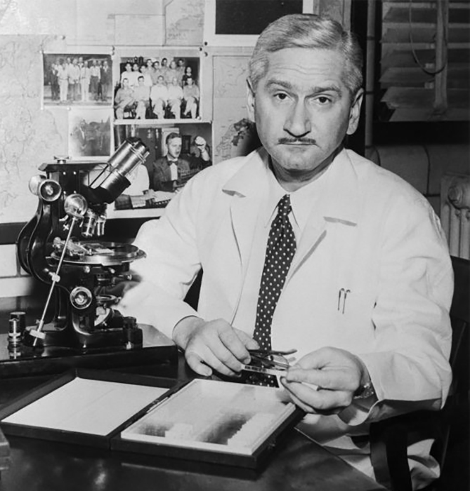 Доктор Альберт Сабин за работой в своей лаборатории в Медицинском колледже Университета Цинциннати, который прославился благодаря изобретению оральной полиовакцины.
