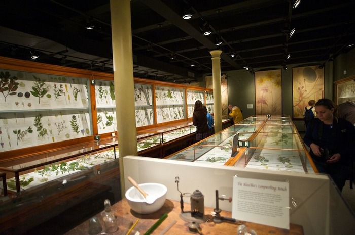 Музей Гарварда, где выставлены работы мастеров.