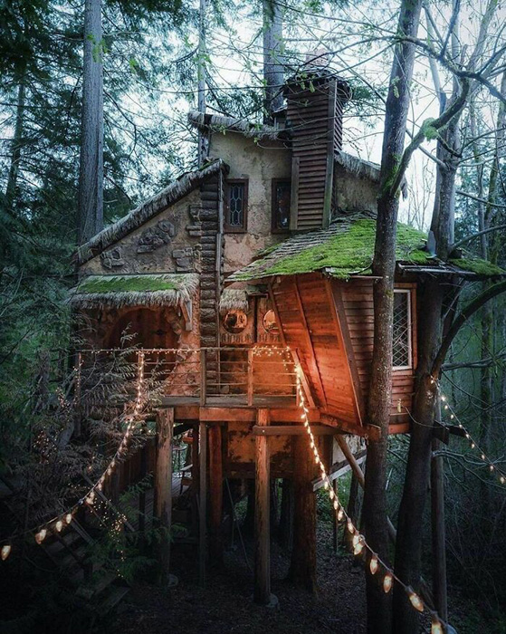 Ведьмин дом на дереве на северо-западе США.