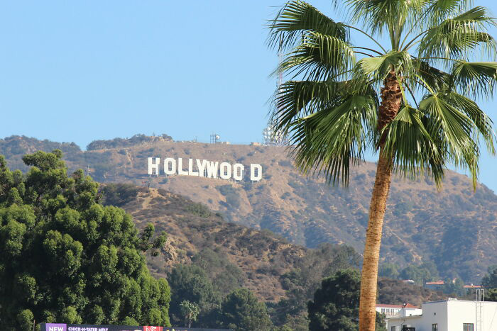 Голливудские холмы.