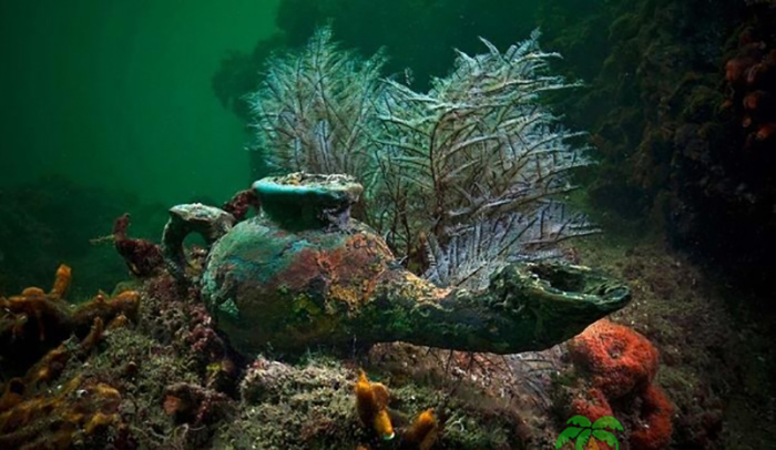 Многие ценные артефакты хранили морские глубины.