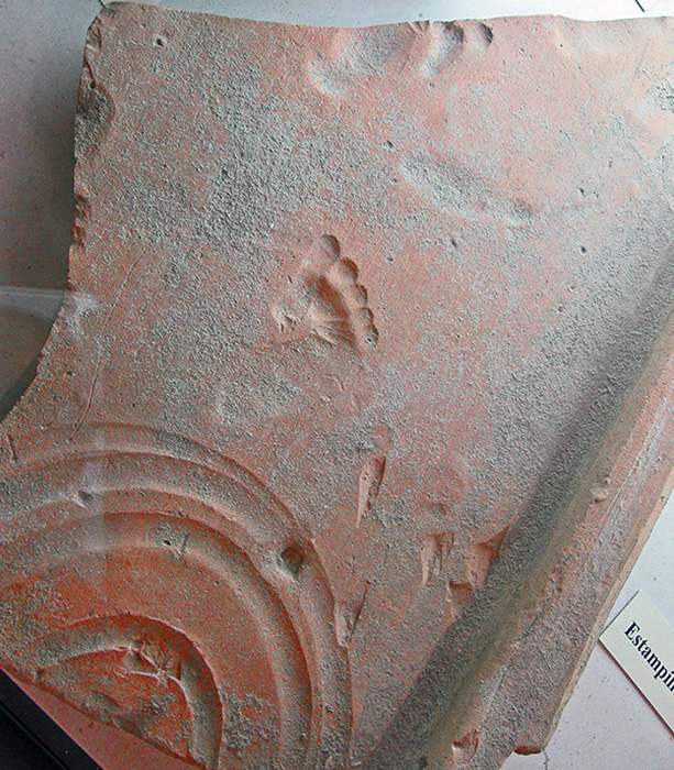 Оманская глиняная плитка со следом, оставленным малышом, когда она высыхала 2000 лет назад, Везон-ла-Ромен (Ancient Vasio Vocontiorum).