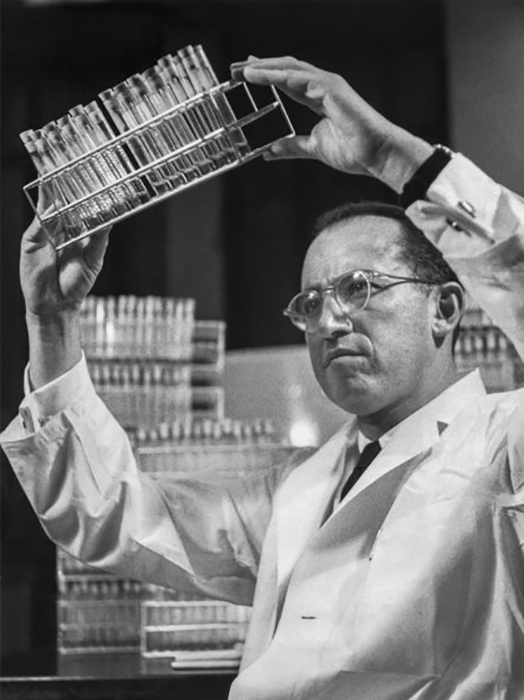 Доктор Джонас Солк, который разработал вакцину против полиомиелита, в своей лаборатории в Питтсбургcком университете.