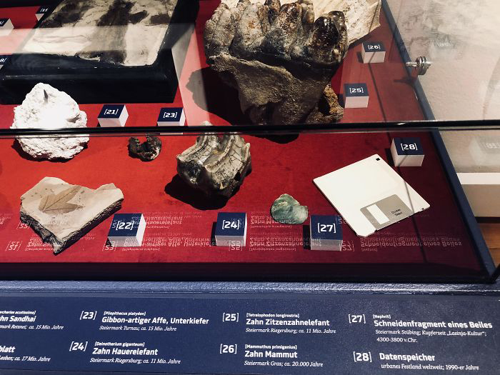 Краеведческий музей решил добавить дискету в раздел окаменелостей.