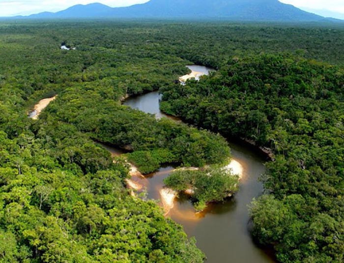 Благодаря современным технологиям стало возможным исследовать ранее недоступные районы Амазонки.