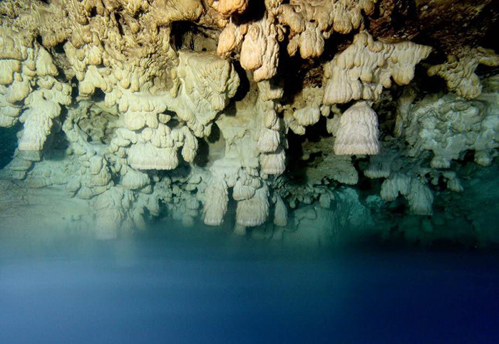 Поверхность пещеры покрыта ими почти полностью.