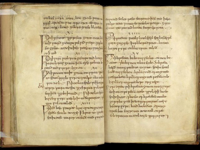 Книга Лысого, медицинский текст 10-го века, который содержит англосаксонские медицинские советы и рецепты лекарств, мазей и лечебных средств.