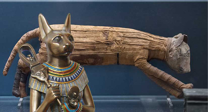 В Египте кошки были божественны. Это стоило египтянам исторического поражения.