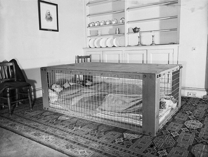 Британская пара спит в «убежище Моррисона», которое использовалось как защита от разрушающихся домов во время бомбардировок «Блиц» во время Второй мировой войны, март 1941 года.