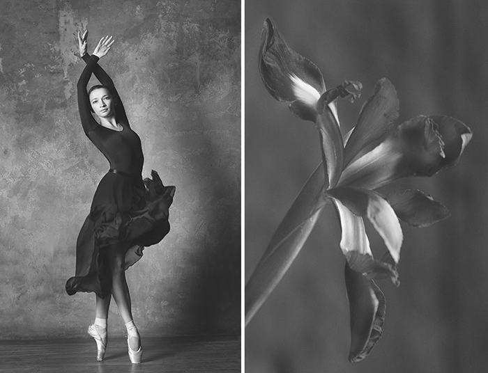 Грациозность танца балерины и нежность хрупкого цветка.
