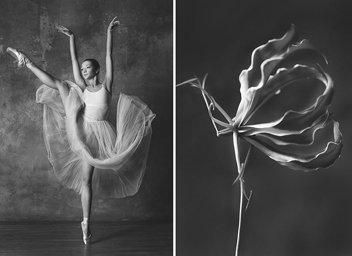 Фотография символизирует хрупкость цветка, женской красоты и карьеры балерины.