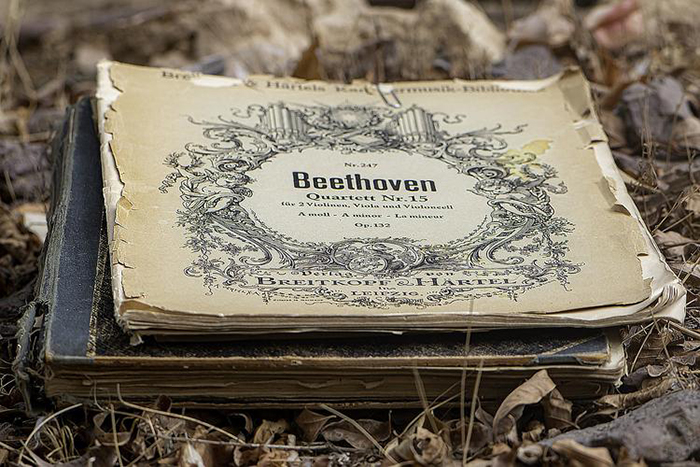 Современники понимали, что Бетховен - гений, пророк в мире музыки.