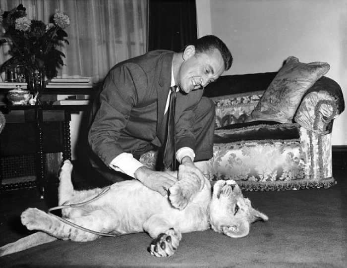 Кирк Дуглас и львёнок Спартак, которого ему подарил директор зоопарка за роль в одноимённом фильме.