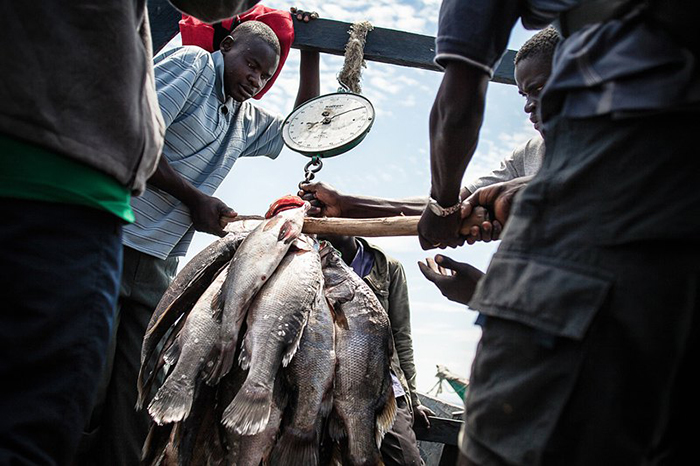 Вылов рыбы - это главный вид заработка на острове Мигинго.