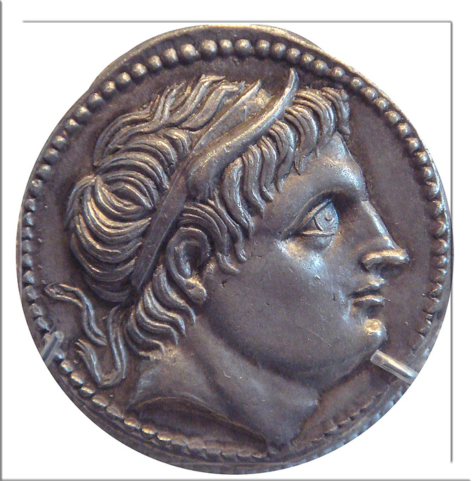 Монета с изображением Деметрия.