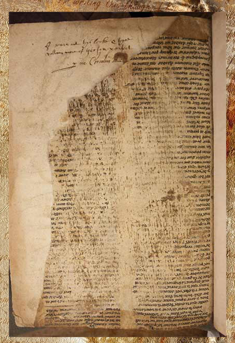 Крупный план одного из фрагментов манускрипта в книге, где его обнаружили.