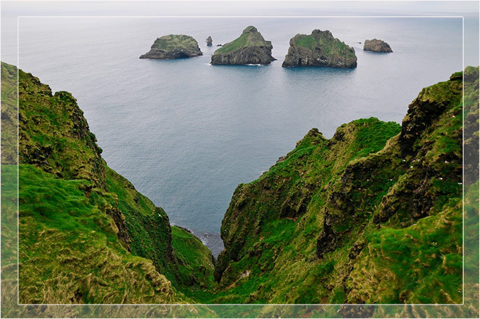 Морские птицы, такие как мэнские буревестники, гнездятся на мысах и скалах исландского архипелага Вестманских островов.