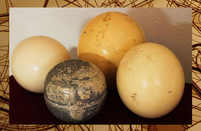 Глобус да Винчи в сравнении со страусиными яйцами.