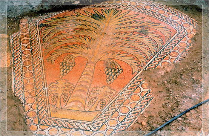 1000-летняя мозаика в руинах мечети на дороге из Иерусалима в Вифлеем. Первоначально византийская церковь была отмечена одинокой пальмой.