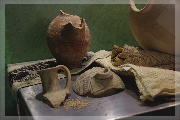 Прародитель европейских дрожжей был обнаружен на стенках керамических сосудов, найденных в Южной Америке.