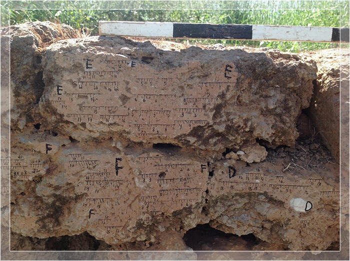 Обожжённая глинобитная стена Тель Баташ (библейская Тимна) с полевыми ориентирами.