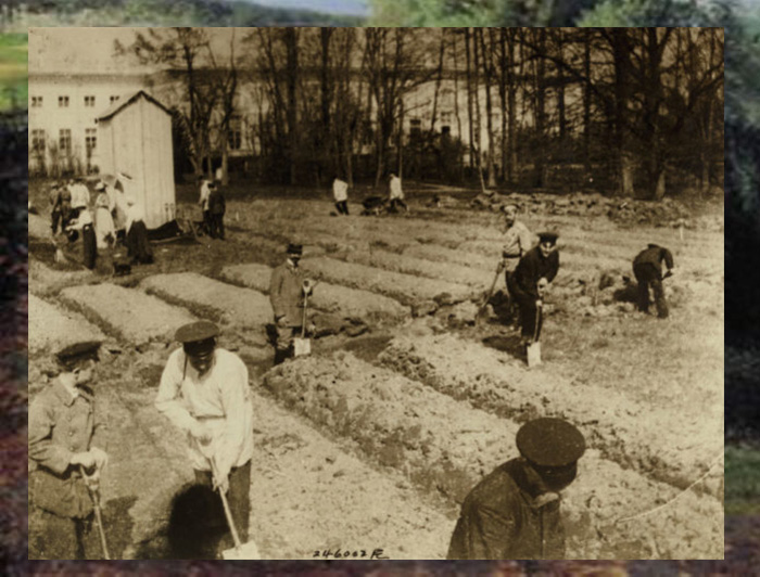 Царь Николай II и семейное садоводство в Александровском дворце во время ссылки в Царском Селе, 1917 год.