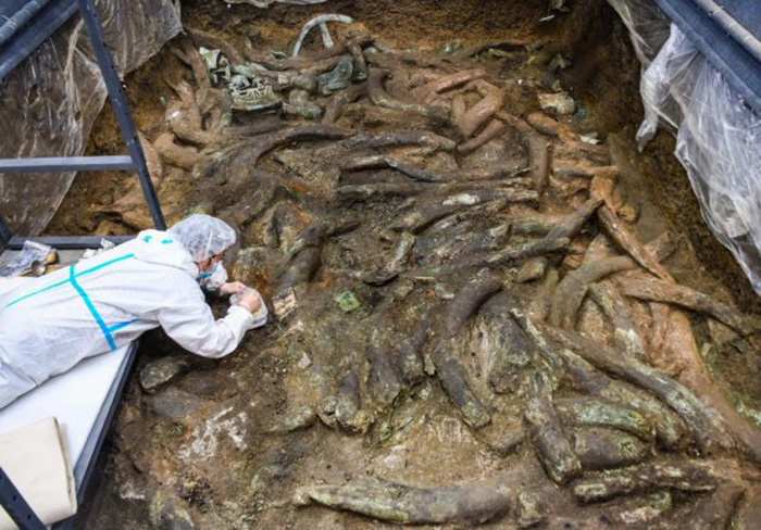 При раскопках было найдено множество бесценных артефактов и слоновьи бивни. / Фото: Getty Images