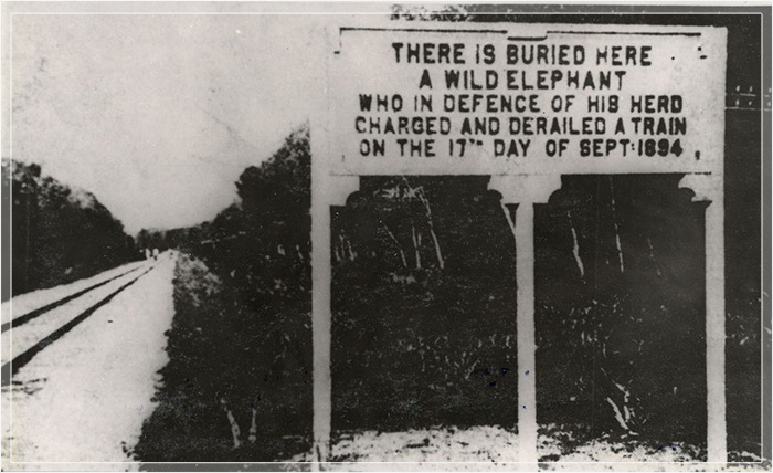 Мемориал слону в Телук Интане.