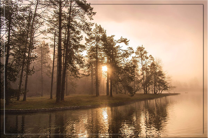 Деревья, окружающие живописное озеро Шобец, придают пейзажу ещё больше красоты.