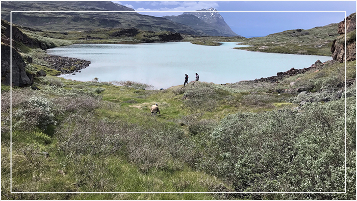 Озеро 578 на юге Гренландии, где проводились исследования.