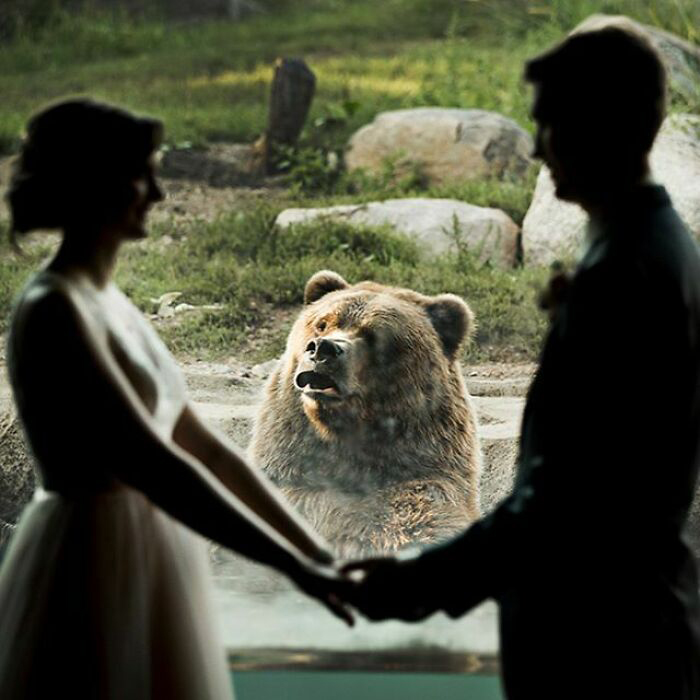 Свадьба в зоопарке и неожиданный гость, сделавший её незабываемой. / Фото: reddit.com