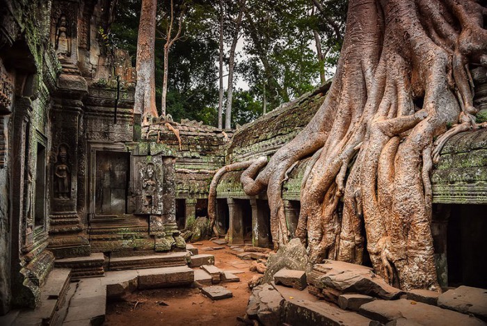 Ангкор, Камбоджа.