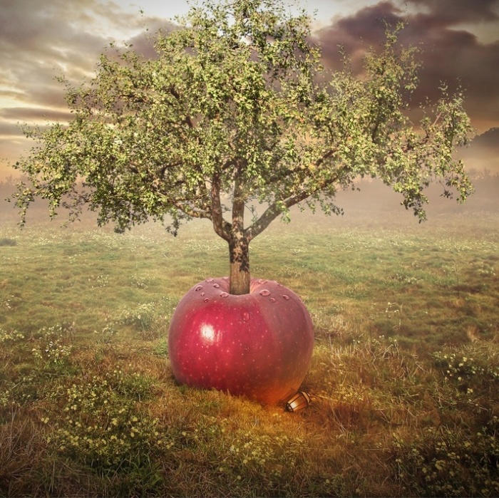 Яблочное дерево. Автор: Even Liu.